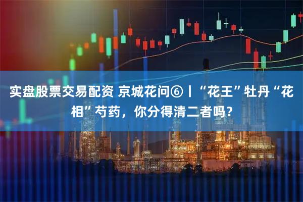 实盘股票交易配资 京城花问⑥丨“花王”牡丹“花相”芍药，你分得清二者吗？