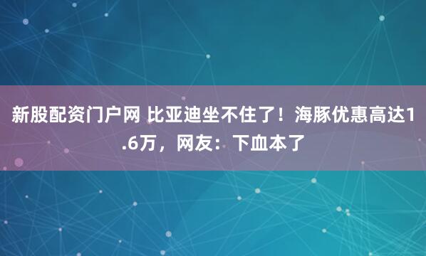 新股配资门户网 比亚迪坐不住了！海豚优惠高达1.6万，网友：下血本了
